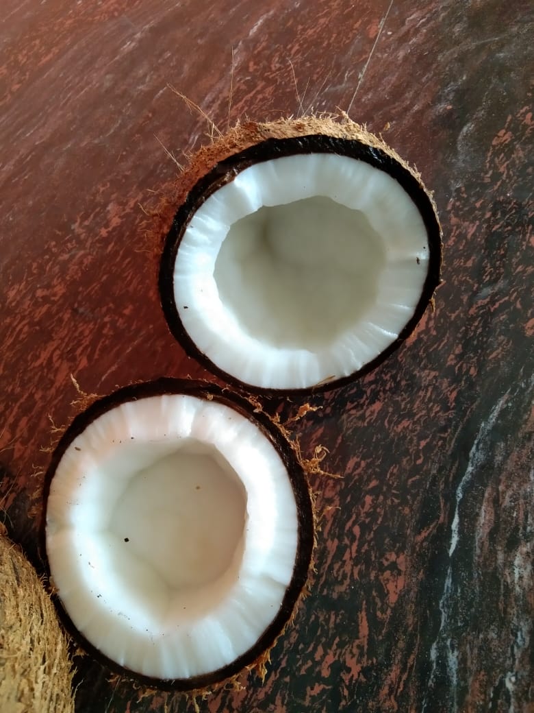 Husked coconut  from Tanz enterprise 