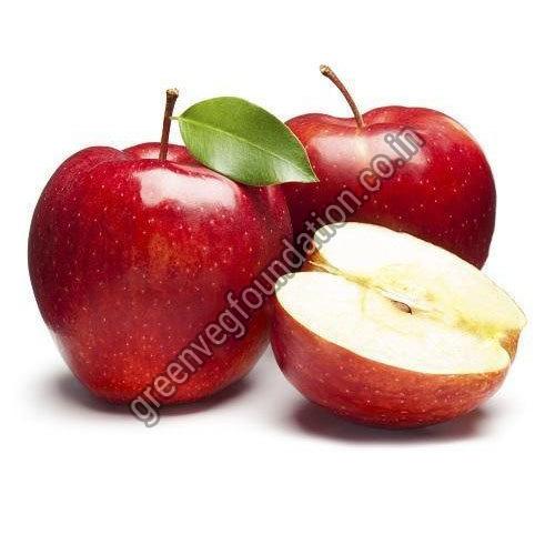 Export Quality Fresh Apple from Green Veg Foundation(NGO)