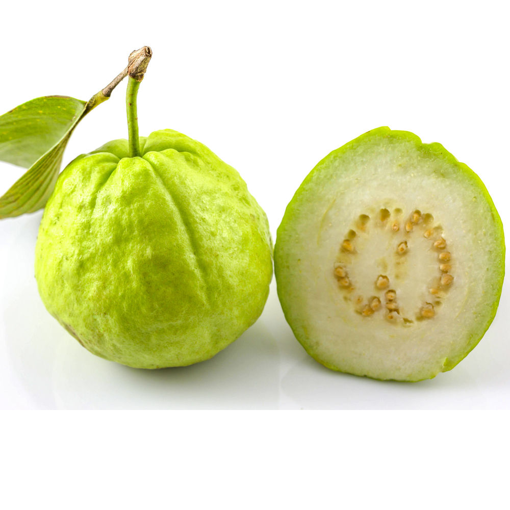 Source FRESH GUAVA from STANDARD FOCUS ROYALLERE INTERNATIONAL LIMITED