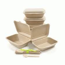 Eco Friendly Sugarcane bagasse