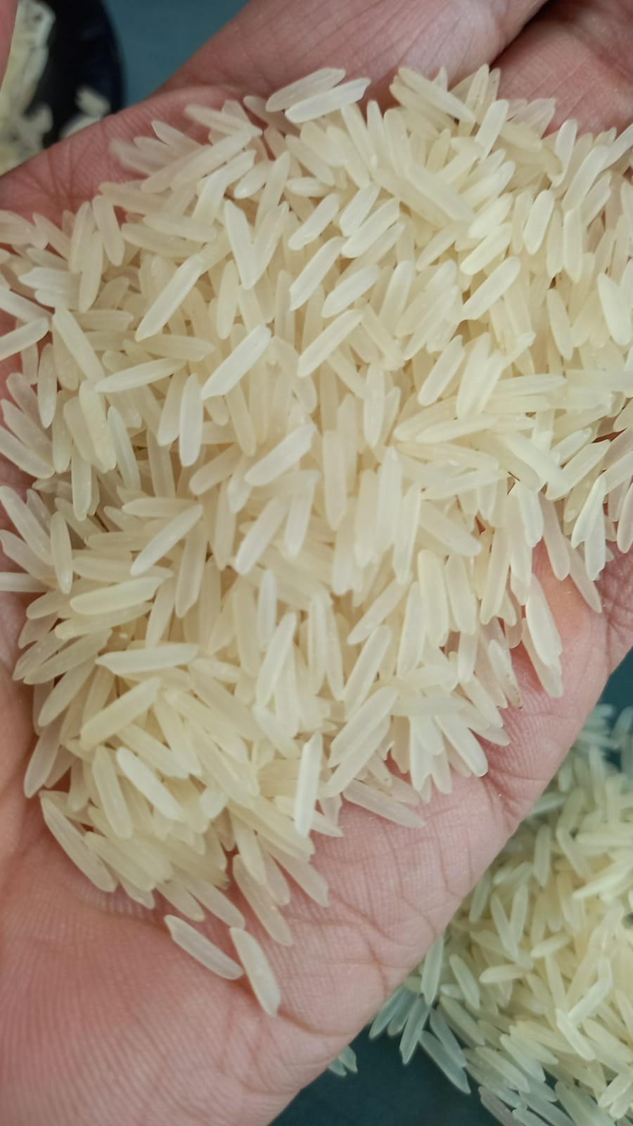 Best Quality Golden Sella Rice at Wholesale Price from ROYAL TRADERS 