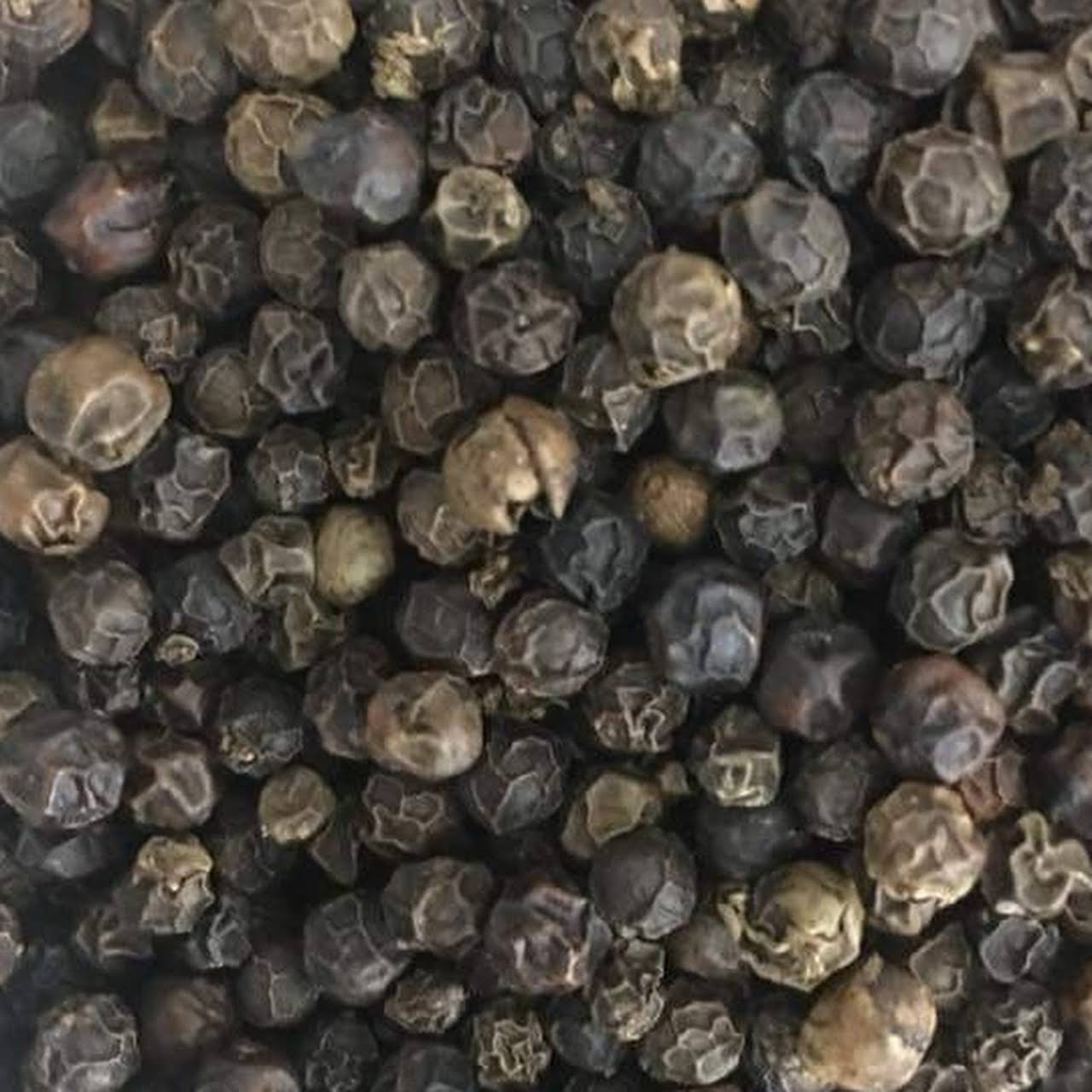 Best Quality Black Pepper From Agrive from Agrive Export & Import