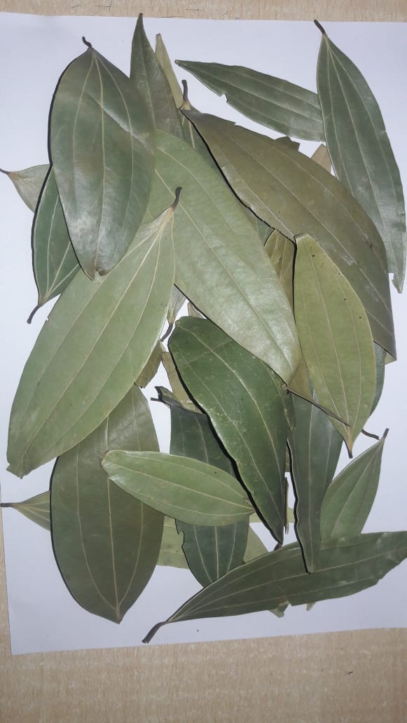 Top Quality Tej Patta (Bay Leaves) from Gurukripa Trading Co