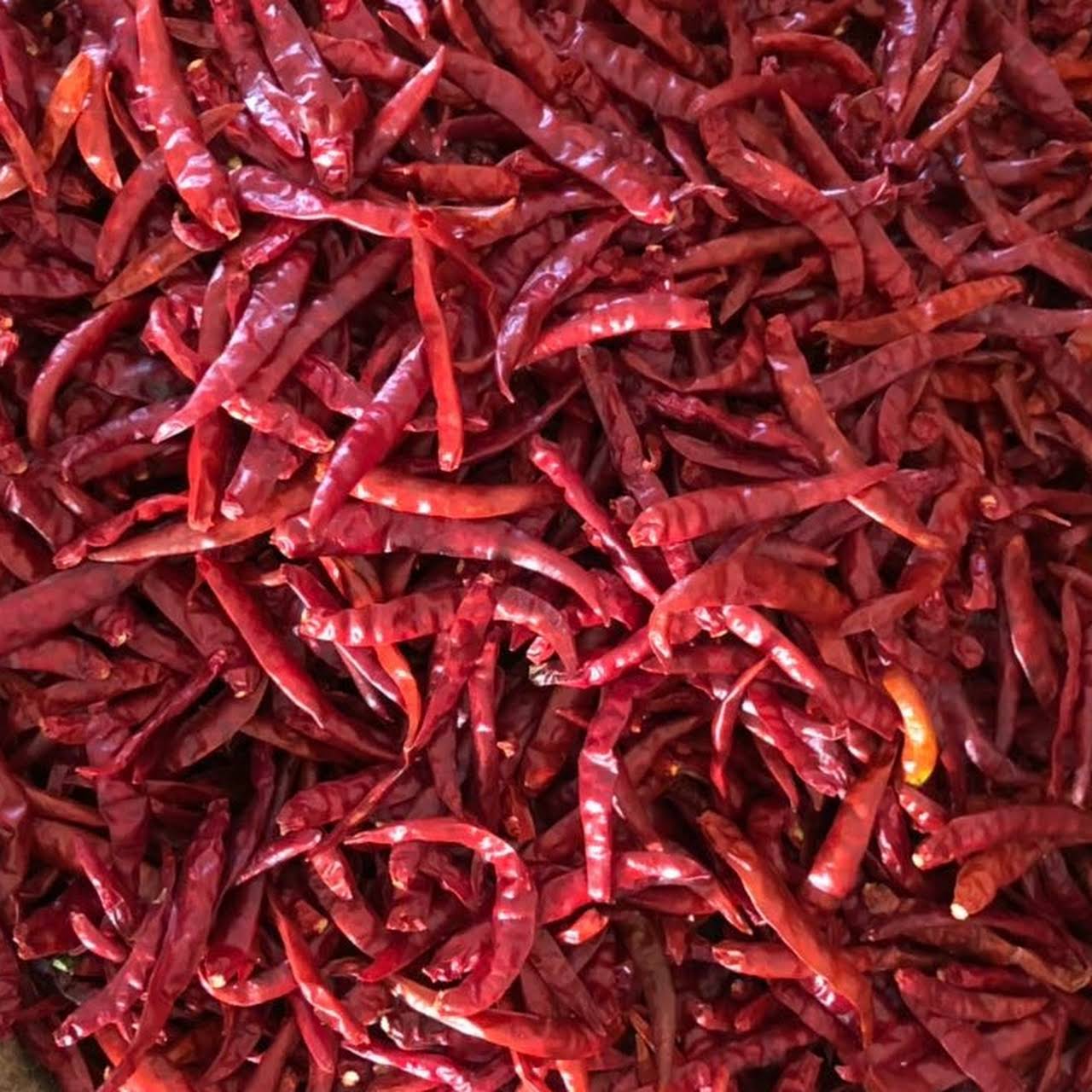 Dry Red Chili S334 from Aspiring International Trade