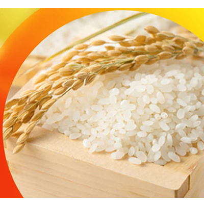 Zeera Samba Rice from Kirorimal Kashiram Marketing and Agencies Pvt. Ltd