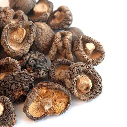 Shittake Mushrooms from BIOBRITTE AGRO SOLUTIONS PRIVATE LIMITED