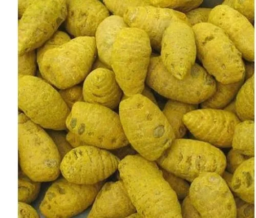 Salem Turmeric Gatta