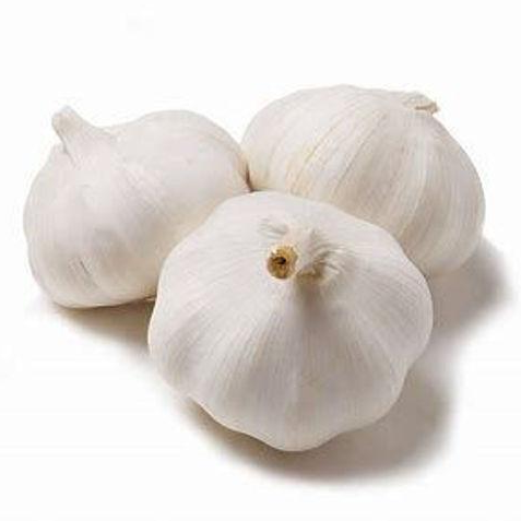 White Garlic