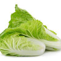 High quality and nutritious cabbage from Farm Right Ghana Limited