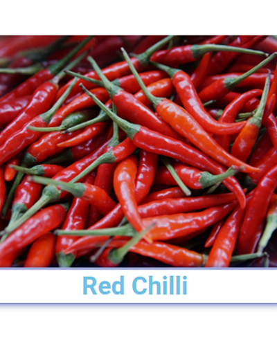 A Grade Red Chilli - Pan India  from SRG EXIM