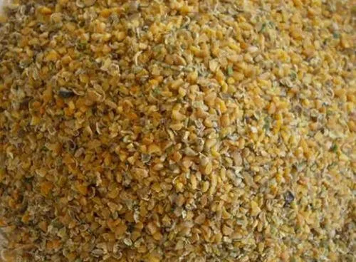 Guar Meal Korma from Mahesh Agro Food Industries 