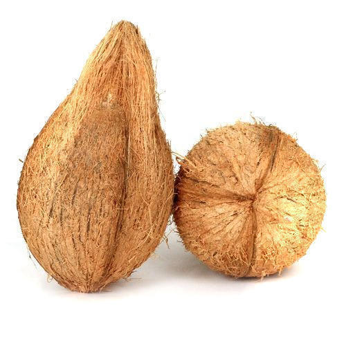 husk coconut