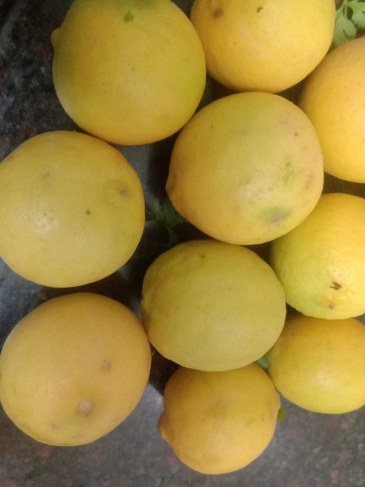 Fresh Organic Sweet Lemon from Lavish international 