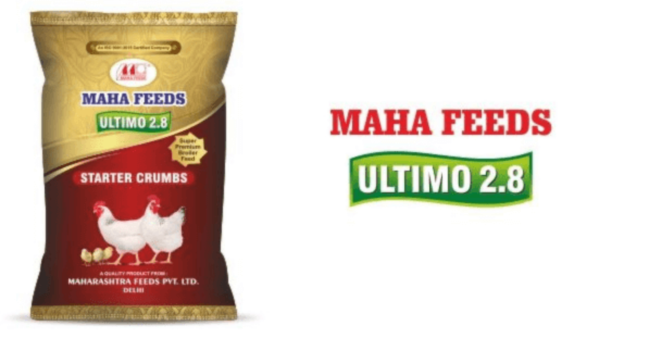 Ultimo 2.8  Poultry Feed from Maharashtra Feeds Pvt. Ltd.