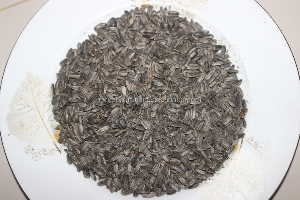 Sunflower seed cake