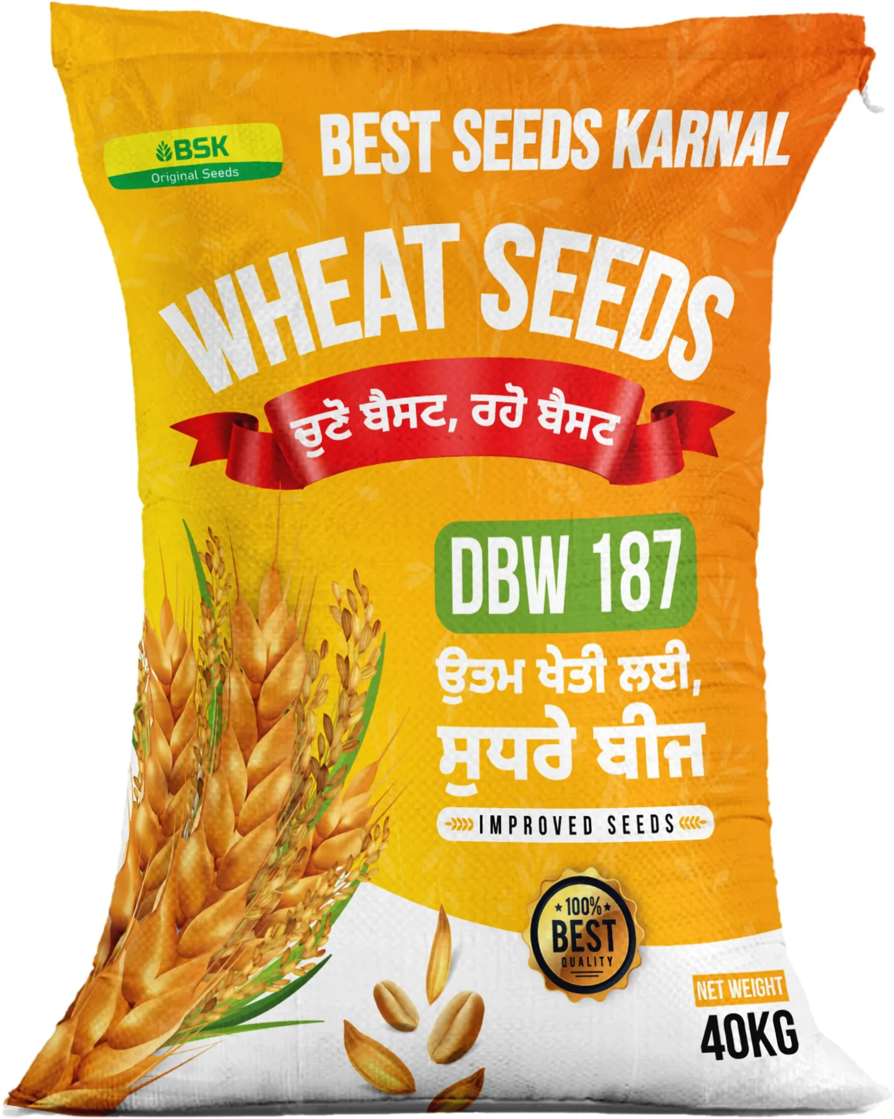 DBW 187  high yielding wheat variety