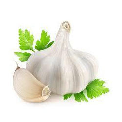 Fresh Garlic from Chauhan Exim