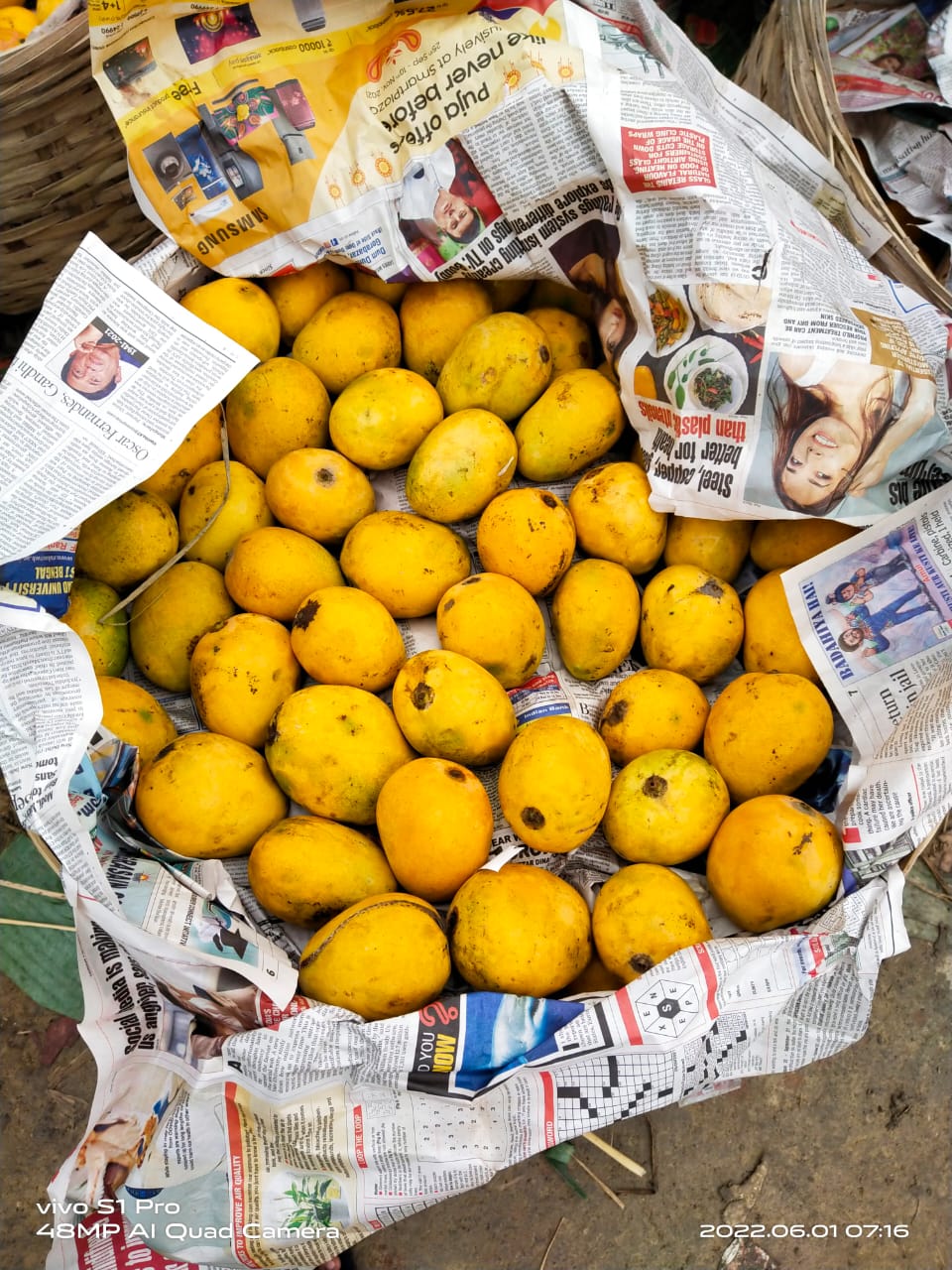 Fresh Mango  from MEHAN ENTERPRISE