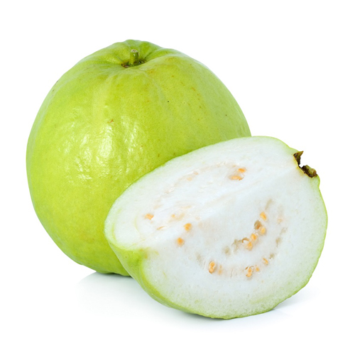 A Grade White Guava at Wholesale Price from EXPO TRADING