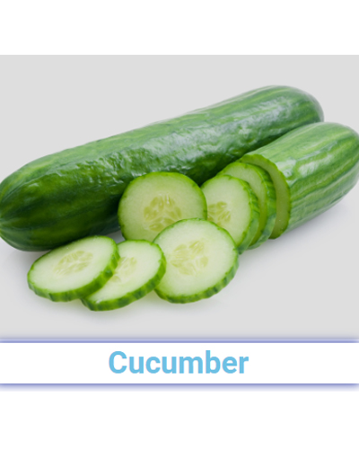 Fresh Cucumber - Pan India from SRG EXIM