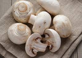 Top Mushroom Company In Brunei | Mushroom Exporter Company In Brunei | Buy Mushroom Online In Brunei from Biobritte Agro Solutions Pvt. Ltd