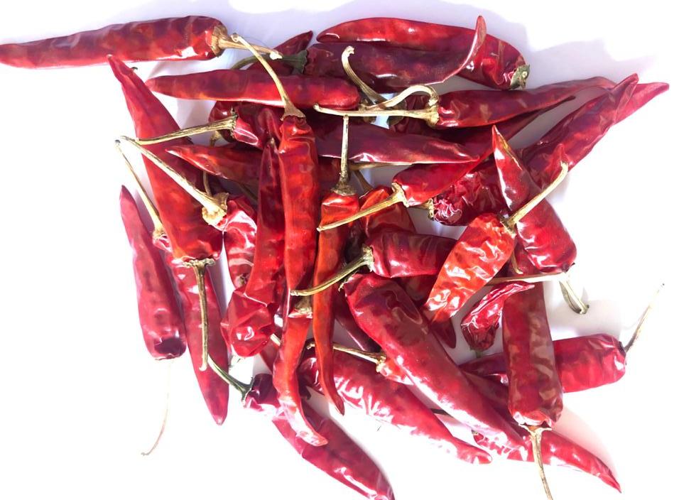 ENDO 5 Dry Red Chilli from PRAMODA EXIM CORPORATION