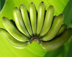 Fresh Green Banana  from Masterlink Malawi