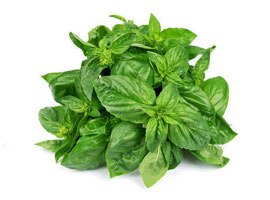 Green Organic Basil Leaves from PERFETTO NATURALS