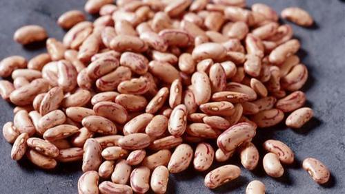 Organic Pinto beans at best price from Ethiopia from SAMETHA TRADING PLC 