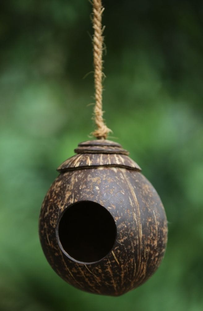 coconut bird house , hamster cages , reptile cage . fish caves