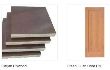 Green  Plywood from Shree Jeen Plywood